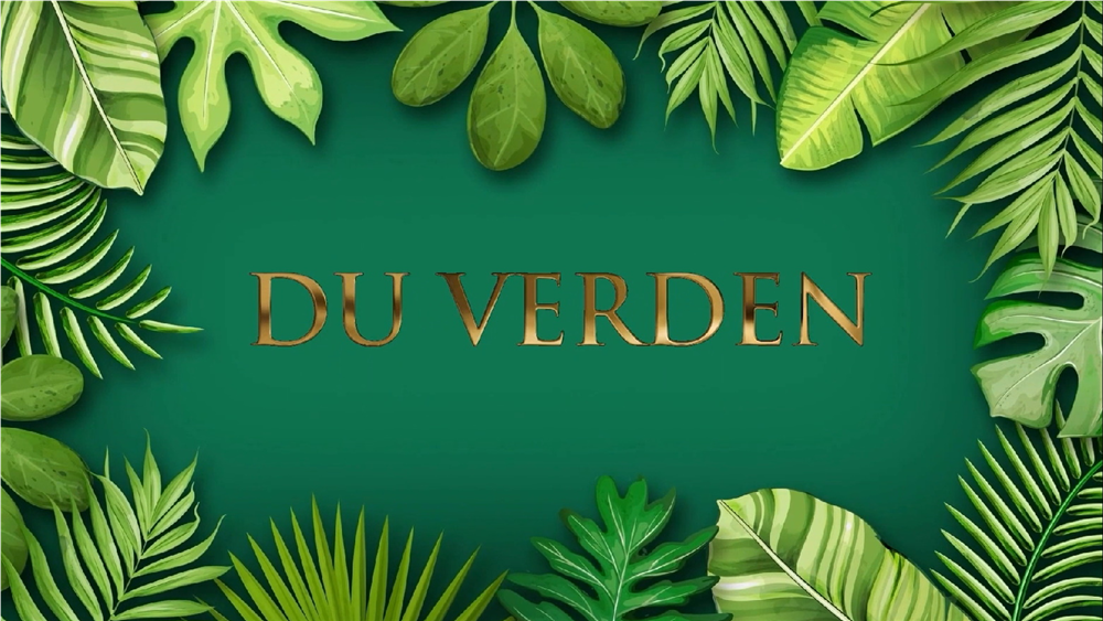 Du verden