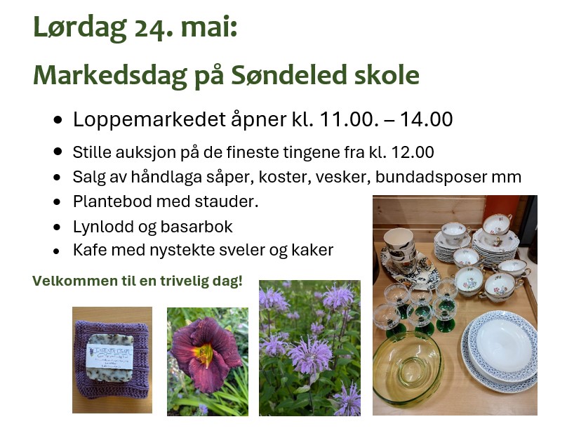 Lørdag 24.mai hjemmesiden