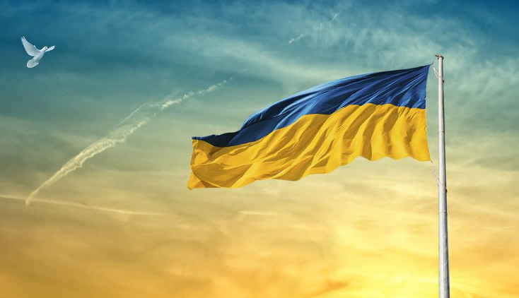 Ukrainsk flagg.PNG